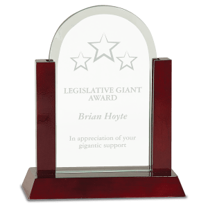 Medium Gateway Jade Dome Glass Award with Rosewood Finish Base-AKD Ink