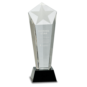 Medium Crystal Frosted Star Column on  Pedestal Base-AKD Ink