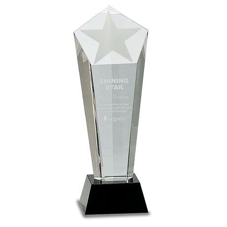 Medium Crystal Frosted Star Column on  Pedestal Base-AKD Ink