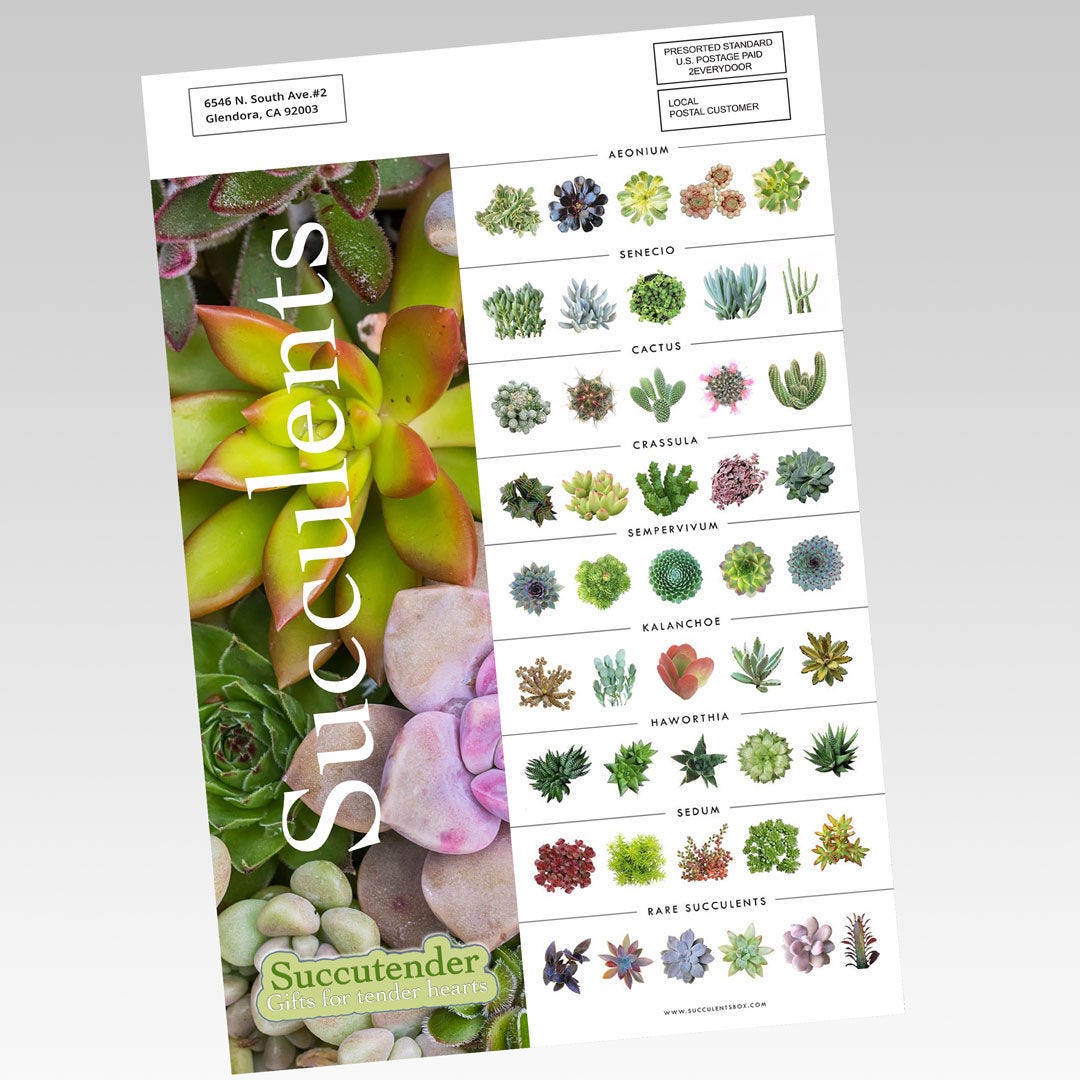 EDDM Full Service - Sell Sheets – AKD Ink