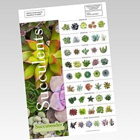 EDDM Full Service - Sell Sheets printed by AKD Ink