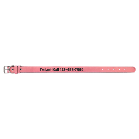 Large Dog Collar-AKD Ink