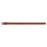Large Dog Collar-AKD Ink