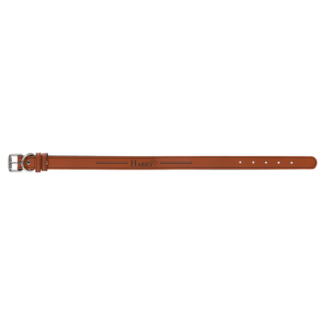 Large Dog Collar-AKD Ink