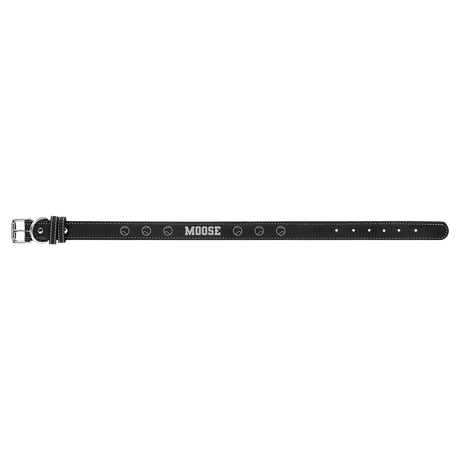 Extra Large Dog Collar-AKD Ink