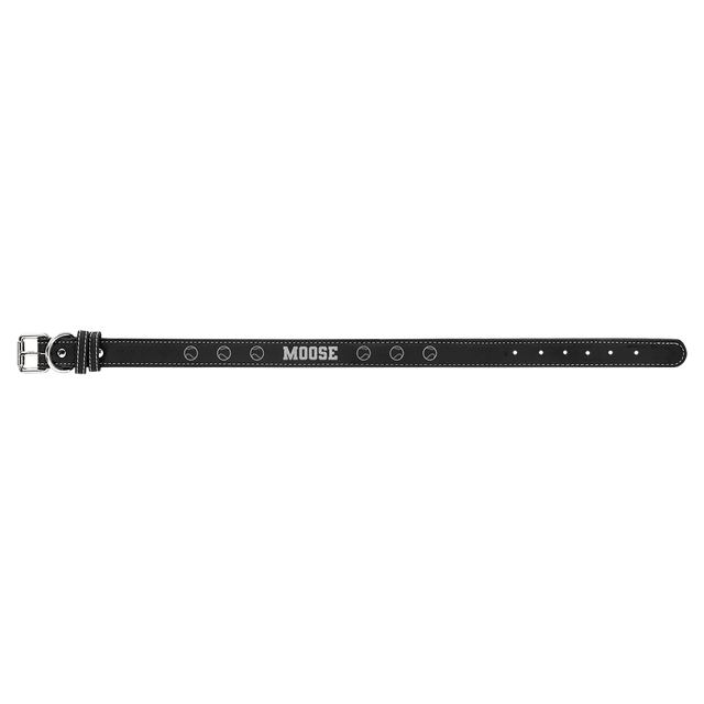 Extra Large Dog Collar-AKD Ink