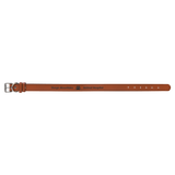 Extra Large Dog Collar-AKD Ink