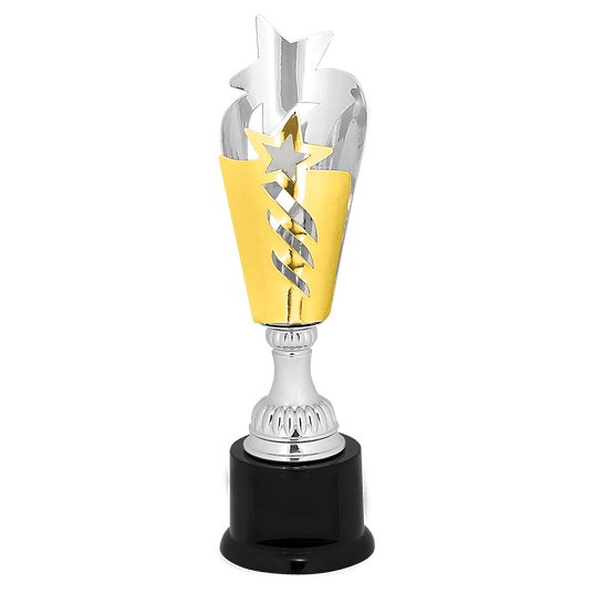 Silver/Gold Star Metal Cup