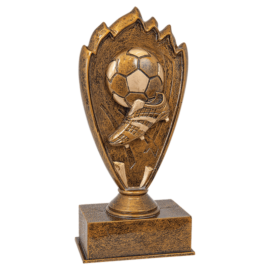 Soccer Blaze Award