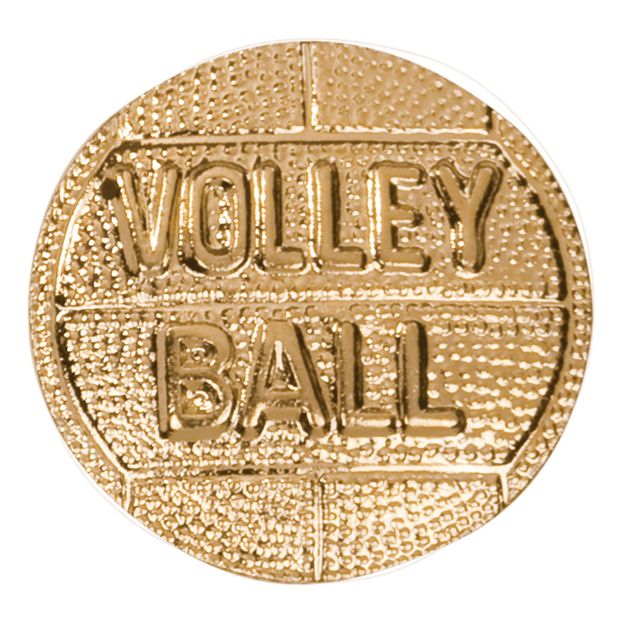 Volleyball Chenille Pin